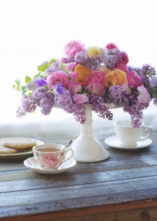 CB-2646_cakestand1_5x7