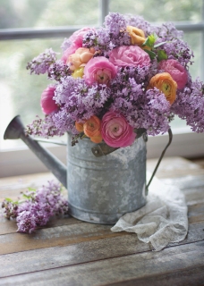 CB-2652_wateringcan_flowers