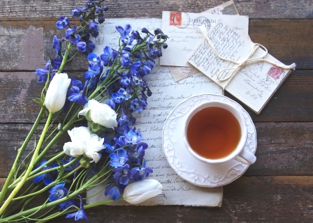 CB-2658_delphiniums_tea