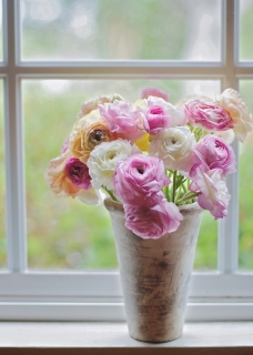 CB-2661_windowsillflowers