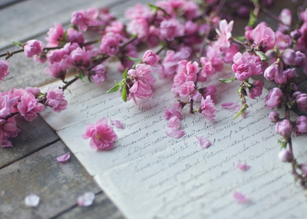 CB-2664_blossom_closeup