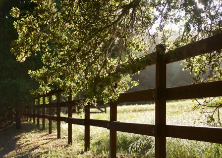 CB-2667_countryfence
