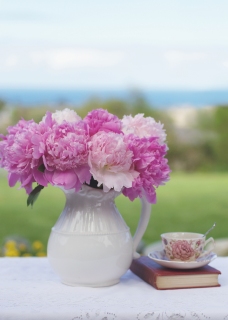 CB-2669_peonies_pitcher