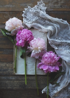 CB-2670_peonies_lace