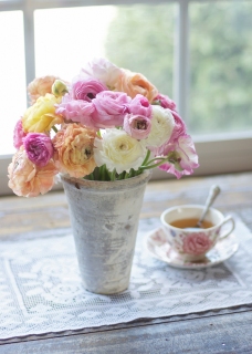 CB-2675_ranunculus_tea