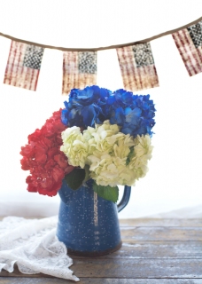 CB-2676_red-white-blue1 CB-2676_red-white-blue1