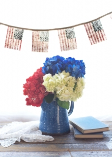 CB-2677_red-white-blue2