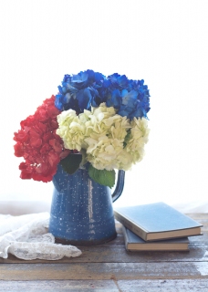 CB-2678_red-white-blue_noflags