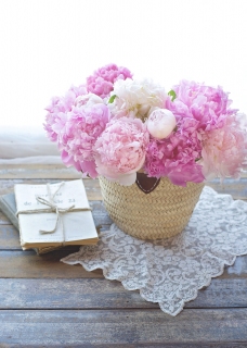 CB-2680_basket_peonies_5x7