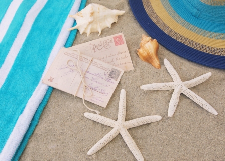 CB-2684_shells_postcards