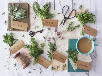 CB-2687a_herbs_and_elements