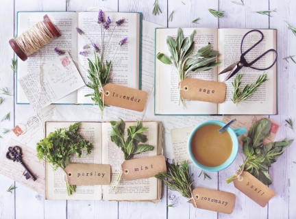 CB-2688_herbs2_20x27