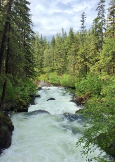 CB-2689_waterfall1_5x7 CB-2689_waterfall1_5x7