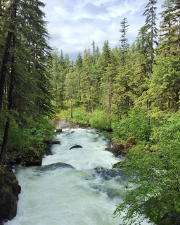 CB-2689a_waterfall1_8x10