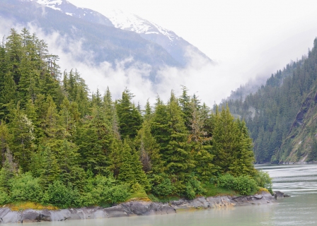 CB-2691_mistyvalley1