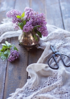 CB-2697_lilacs_littlejug_5x7