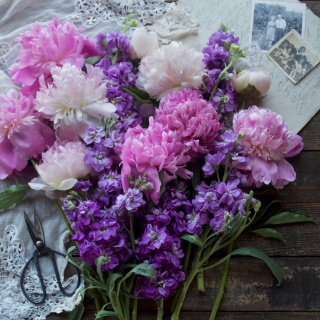 CB-2702_pinkpurpleflowers_square