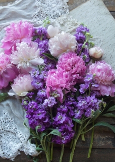 CB-2703_pinkpurpleflowers_5x7