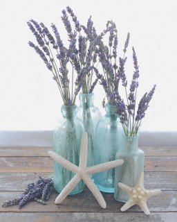 CB-2704_lavender_bottles_8x10