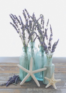 CB-2704a_lavender_bottles_5x7