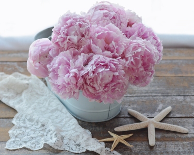 CB-2705_peonies_starfish_8x10_horizontal