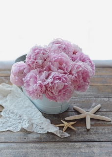 CB-2705a_peonies_starfish_5x7_vertical