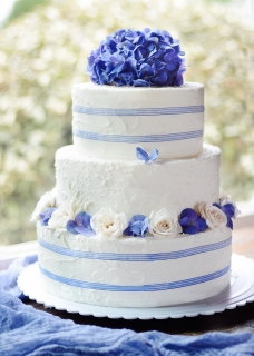 CB-2727_blue_cake