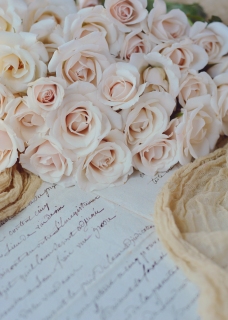 CB-2734_roses1 CB-2734_roses1