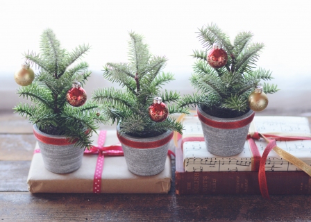 CB-2740_christmas_3trees1_10x14