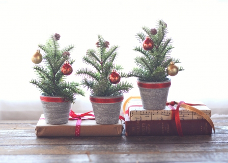 CB-2741_christmas_3trees2_10x14