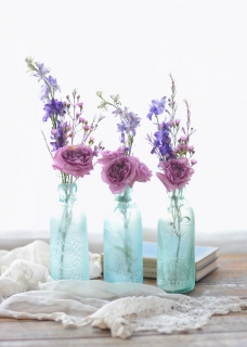 CB-2749_bottles_flowers_10x14