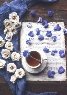 CB-2751_blue_cream_flowers_10x14