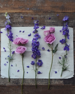 CB-2756_larkspur_roses_8x10 CB-2756_larkspur_roses_8x10