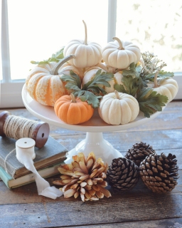 CB-2758_pumpkins_8x10