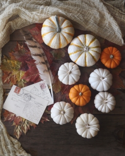 CB-2759_pumpkins_feather_8x10