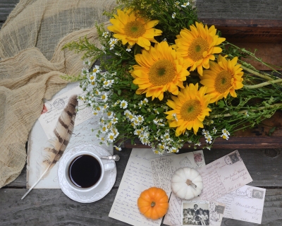 CB-2761_sunflowers2_8x10