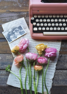 CB-2763_typewriter_ranunculus_10x14