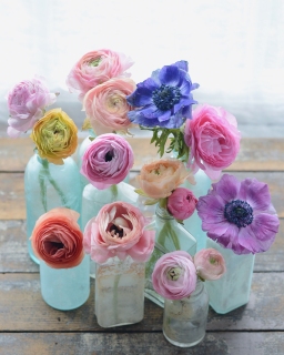 CB-2766_bottles_flowers