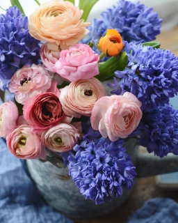 CB-2770_colorfulflowers_closeup