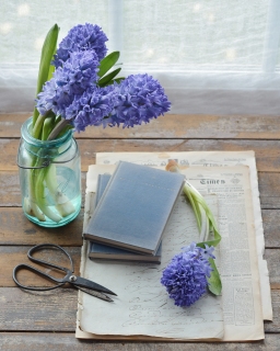 CB-2774_hyacinth_books