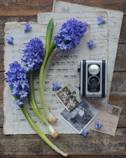 CB-2775_hyacinth_camera