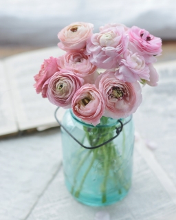 CB-2779_masonjar_pinkflowers