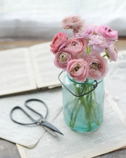 CB-2780_masonjarpinkflowers_scissors