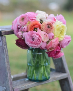 CB-2786_stepladder_jarflowers