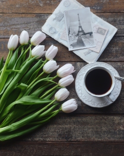 CB-2788_tulips_postcards