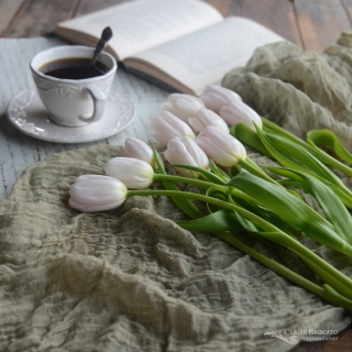 CB-2789_tulips_tea_green