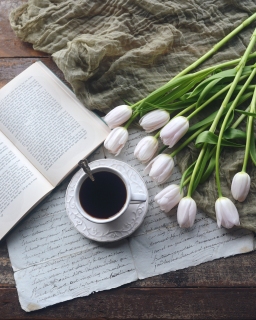 CB-2790_tulips_tea