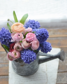 CB-2791_wateringcan_flowers