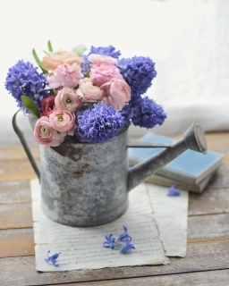 CB-2792_wateringcan_flowers_books