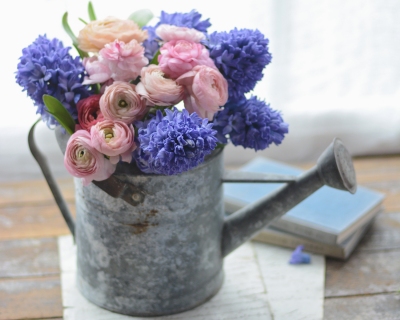 CB-2792b_wateringcan_flowers_books